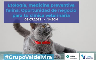 Etología, manejo y medicina preventiva felina: Oportunidad de negocio para la clínica veterinaria – Webinar 08/07/2022