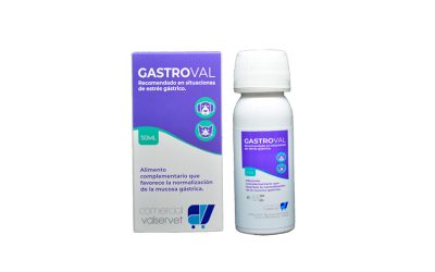 Descubre GastroVAL, alimento complementario recomendado en situaciones de estrés gástrico.