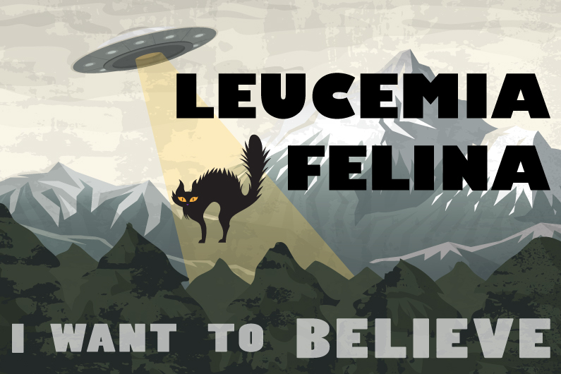 Webinar “Leucemia felina, I want to believe” 08/02/23 a las 14:00 h