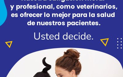 Campaña de Concienciación «Usted Decide»