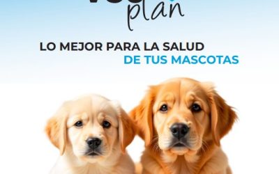 FLYER VETPLAN 2025