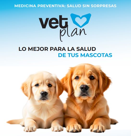 FLYER VETPLAN 2025